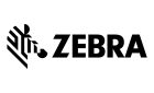 Zebra_